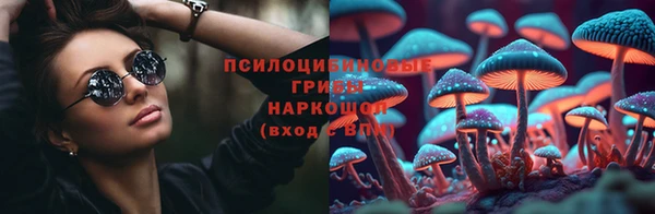 трава Белокуриха