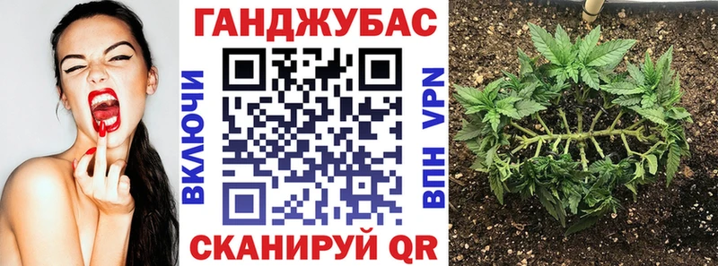 МАРИХУАНА план  как найти   Тулун 